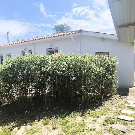 Ocean * Vendays-Montalivet